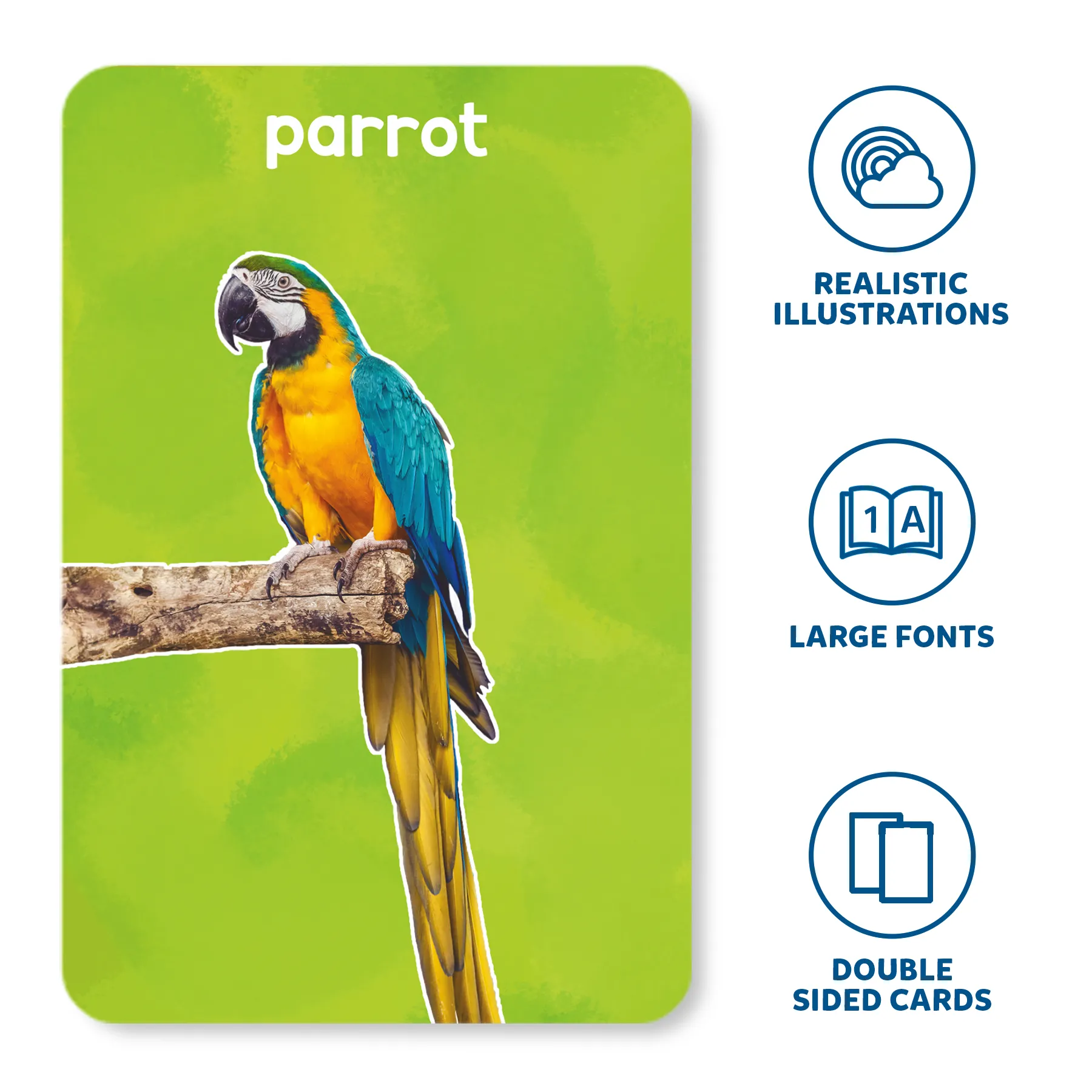 Flash Cards - First 100 Animals