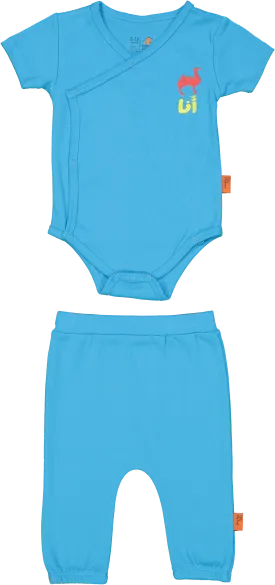 Origami Baby Set | I'm Camel