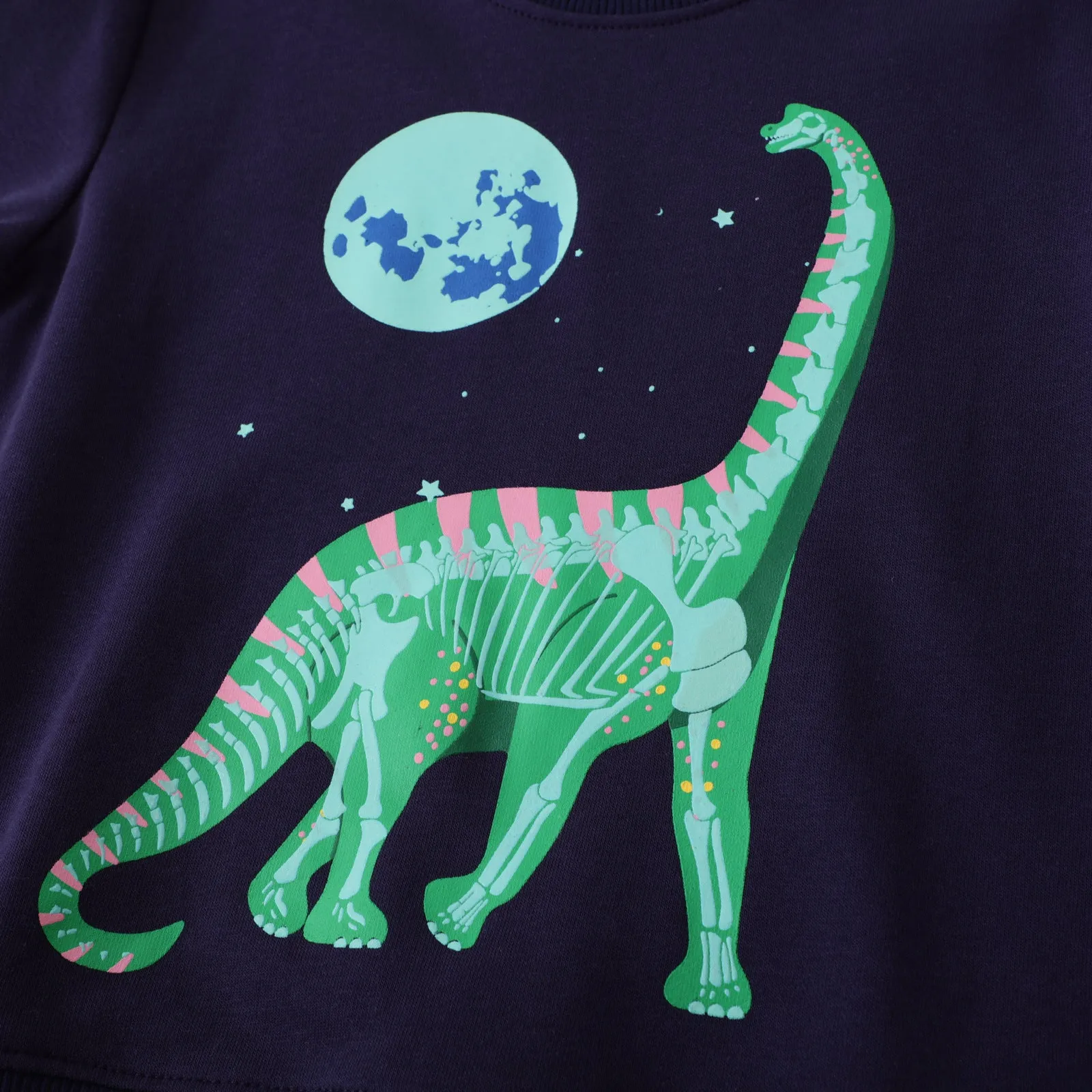Toddler/Kid's Dinosaur with Earth Print Design Sweatshirt